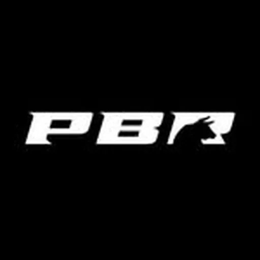 @pbr profile image