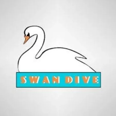 @pdxswandive profile image