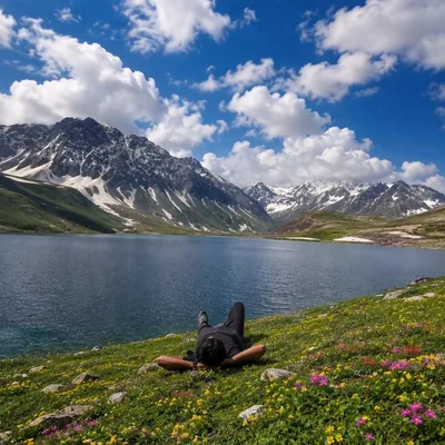 @peace.wanderer profile image