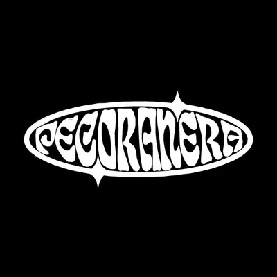 @pecoranerastudio profile image