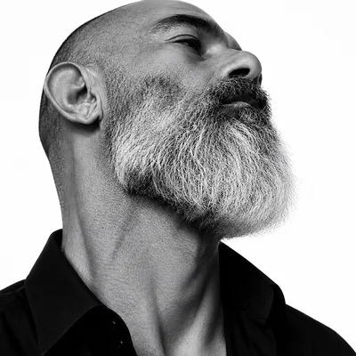 @pedro_ismyname profile image