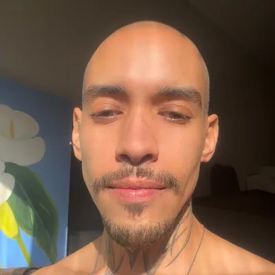 @pedroboreli profile image