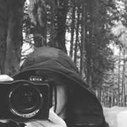 @pedrojaen profile image