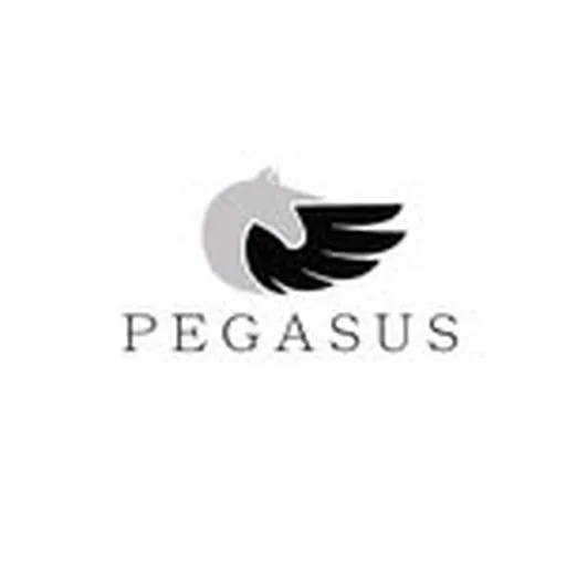 @pegasus.pk profile image