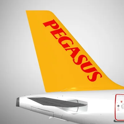 @pegasusairlines_en profile image