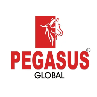 @pegasusglobalpvtltd profile image