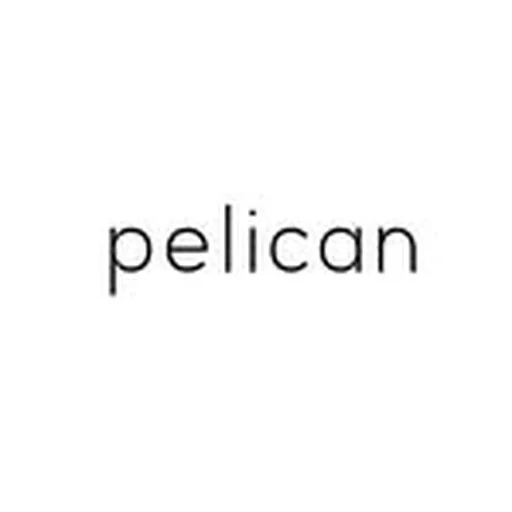 @pelicanparis profile image