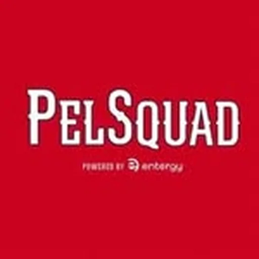 @pelsquad profile image