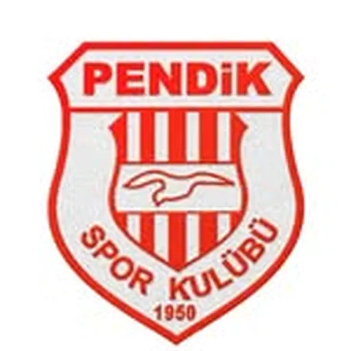 @pendikspor profile image