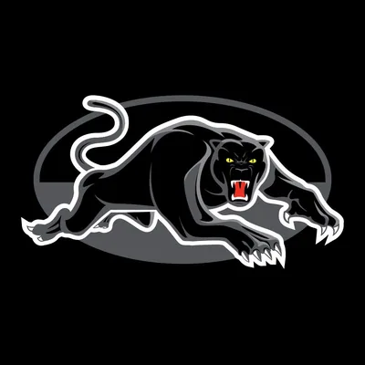 @penrithpanthers profile image