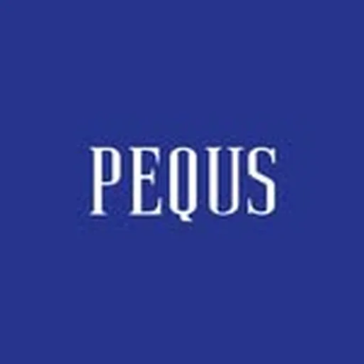 @pequs profile image