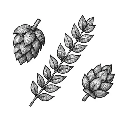 @percentbeer profile image