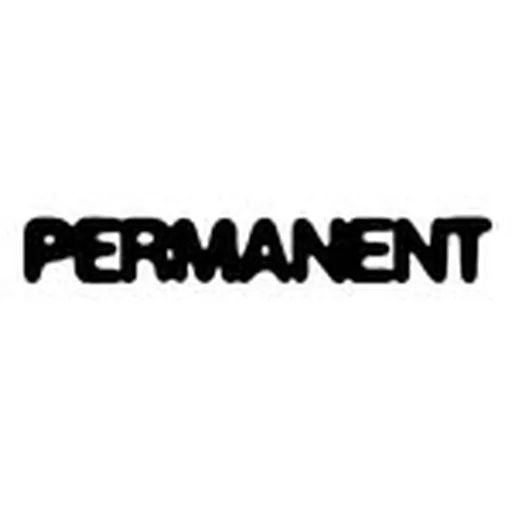 @permanent.files profile image