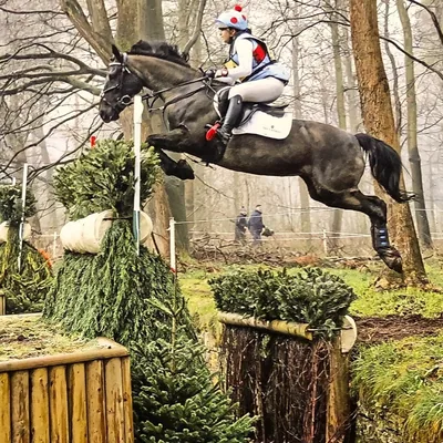 @persiabhatiaeventing profile image