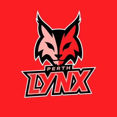 @perthlynx profile image