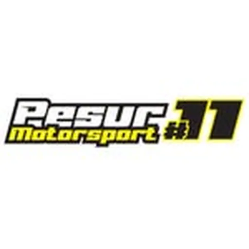 @pesurmotorsport profile image