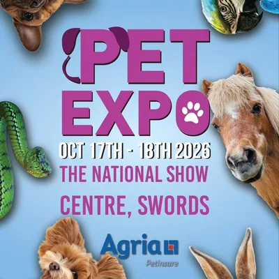 @pet_expo profile image