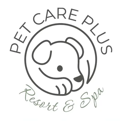 @petcareplus profile image