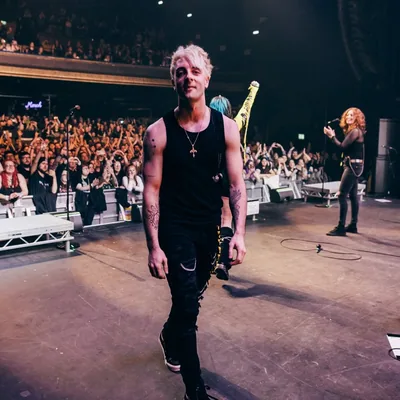 @petevulpyx profile image