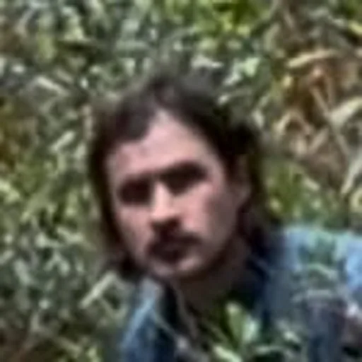 @petey_usa profile image