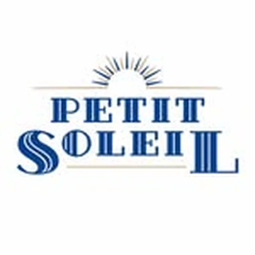 @petitsoleilslo profile image