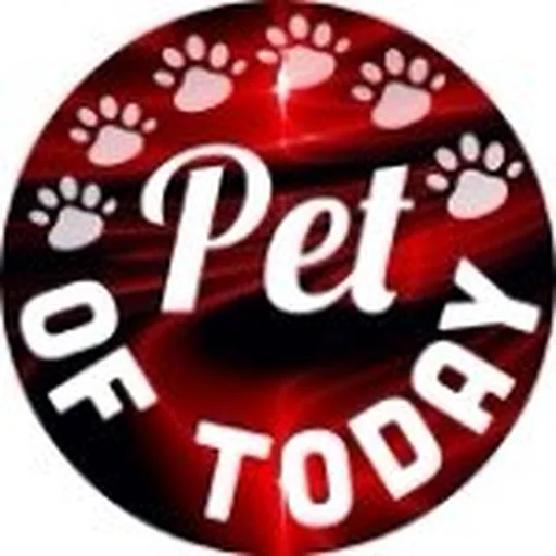 @petoftoday profile image