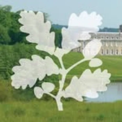 @petworthnt profile image