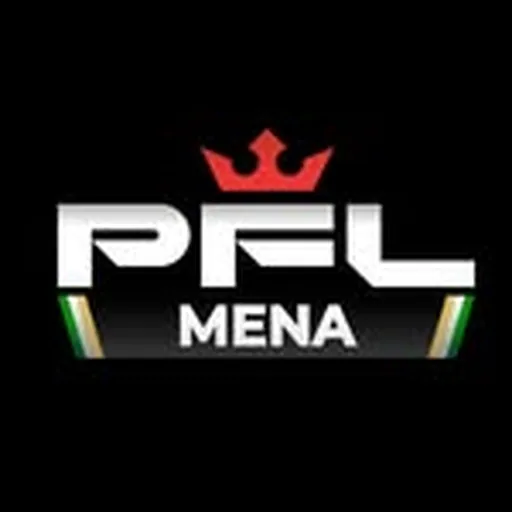 @pflmena profile image