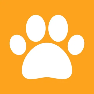@pfotenmond.de profile image