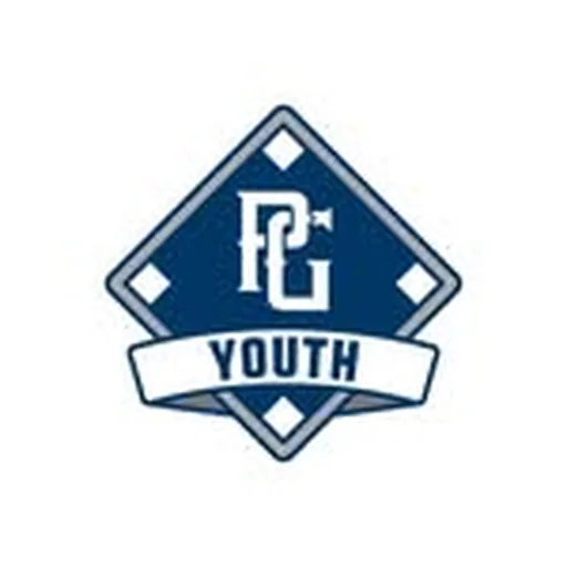 @pgyouthbb profile image
