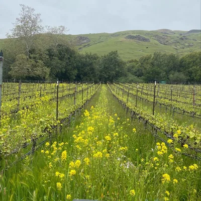 @phelanfarmcambria profile image