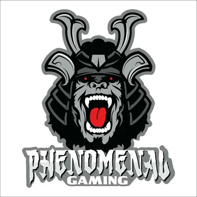 @phenomenalgaming profile image