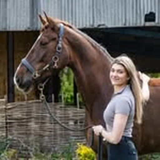 @phoebecharlotte_equestrian profile image