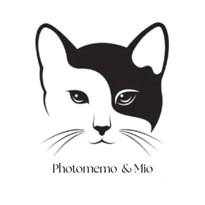 @photomemo.vzla profile image