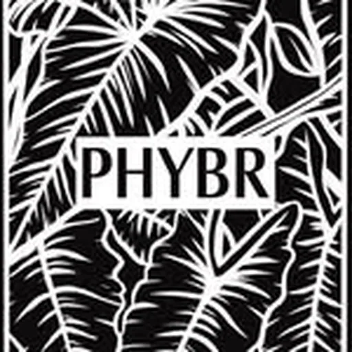 @phybr profile image