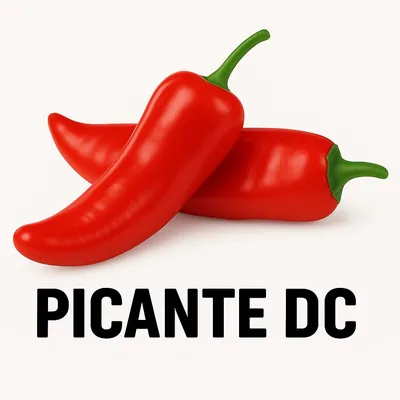 @picantedc profile image