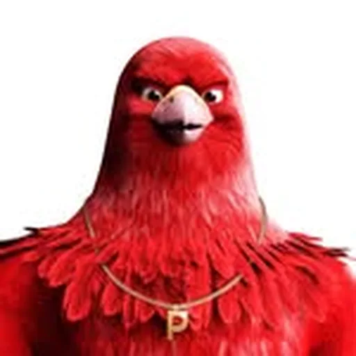 @pichauoficial profile image