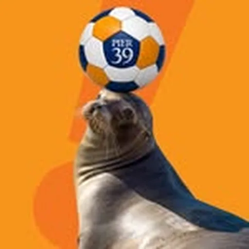 @pier39 profile image