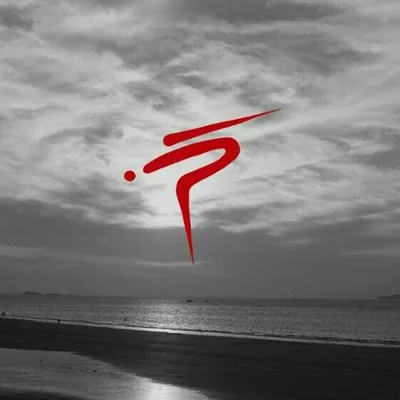 @pierreparisdesign profile image