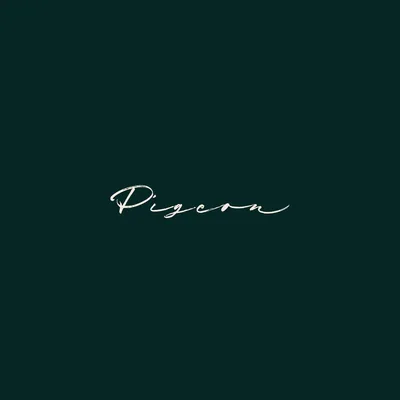 @pigeonmex profile image
