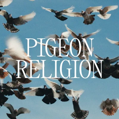 @pigeonreligion__ profile image