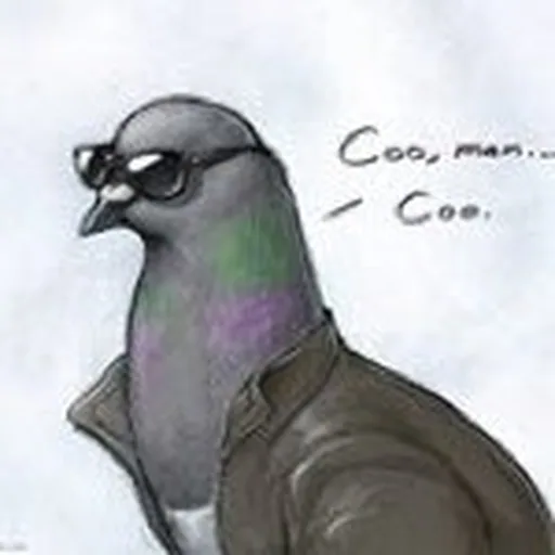 @pigeonsplaying profile image