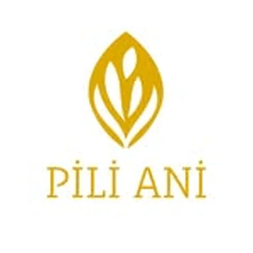 @pilianiph profile image