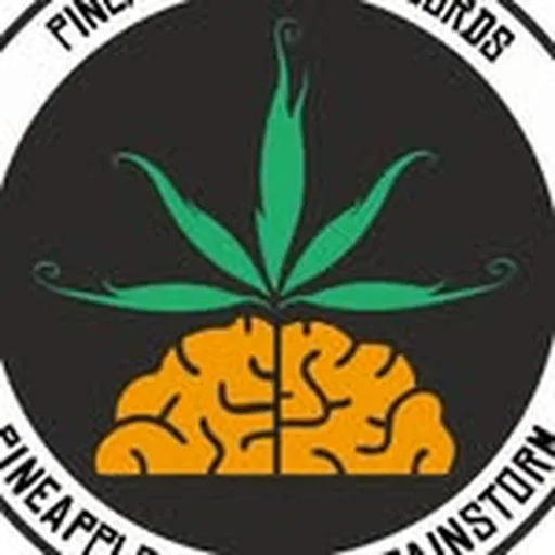 @pineapplepnpl profile image