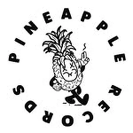 @pineapplerecords_pnpl profile image