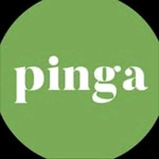 @pinga.store profile image