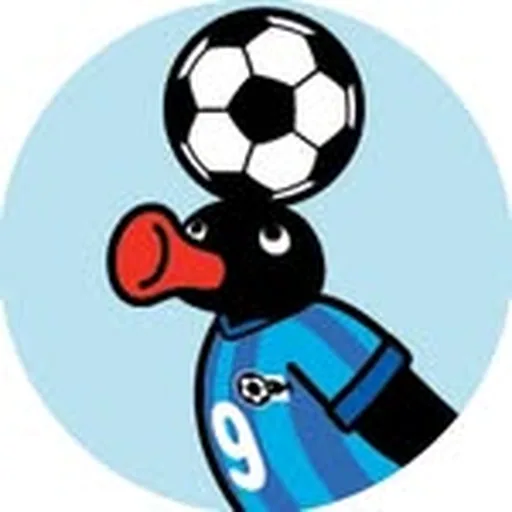 @pingu profile image