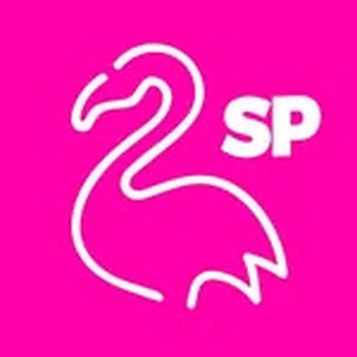 @pinkflamingo.sp profile image
