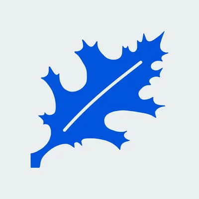 @pinoakstud profile image