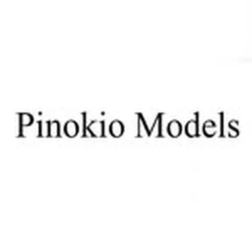 @pinokiomodels profile image
